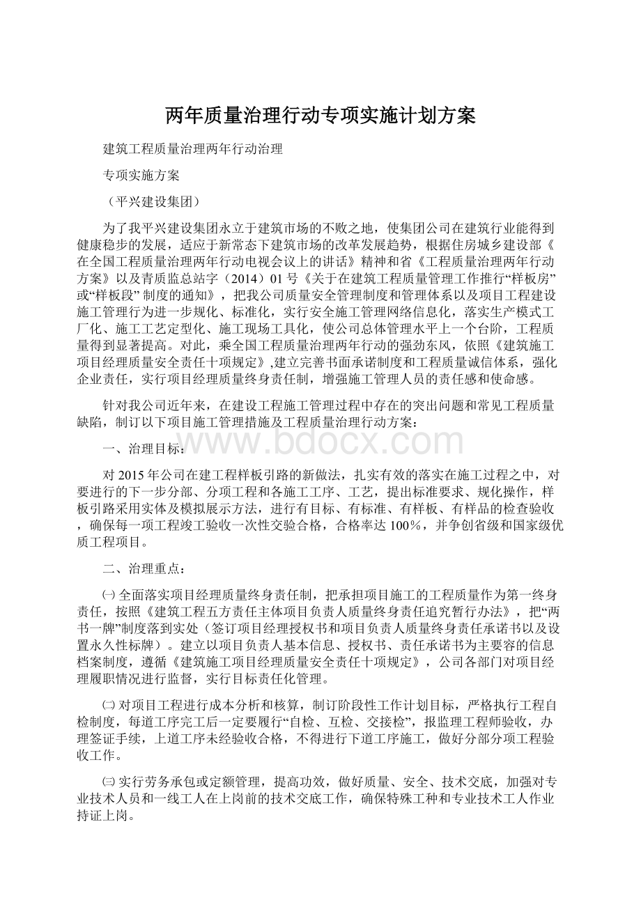 两年质量治理行动专项实施计划方案.docx_第1页