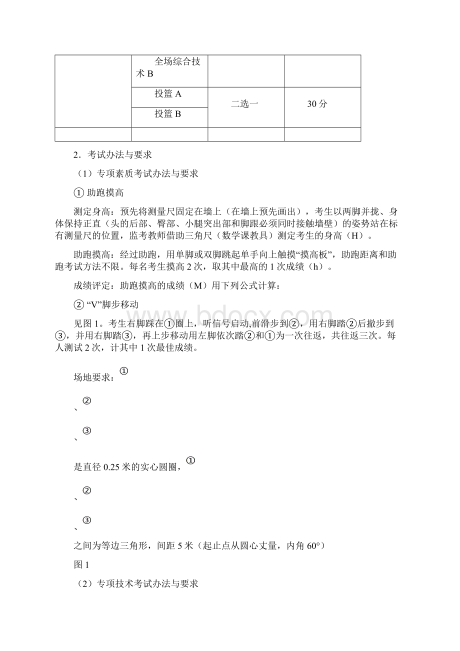 江苏体育高考专项评分标准Word下载.docx_第3页