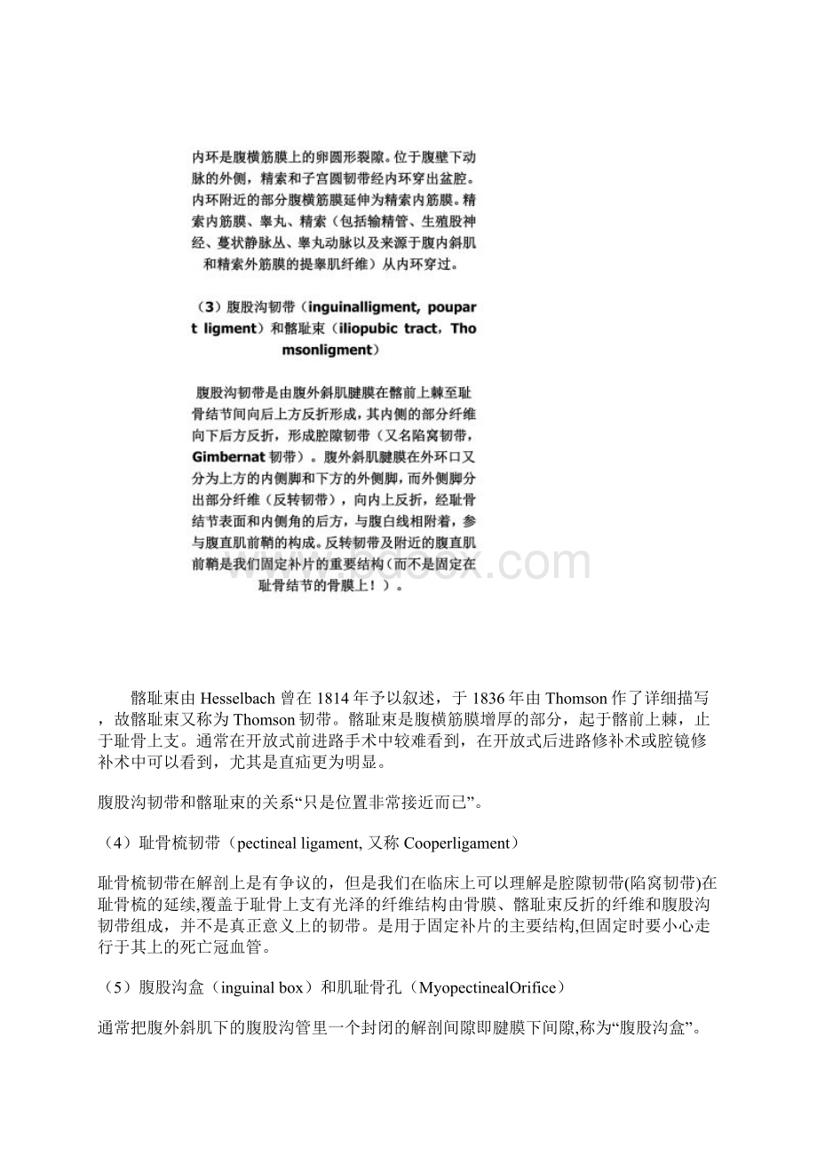 腹股沟区解剖经典总结.docx_第3页