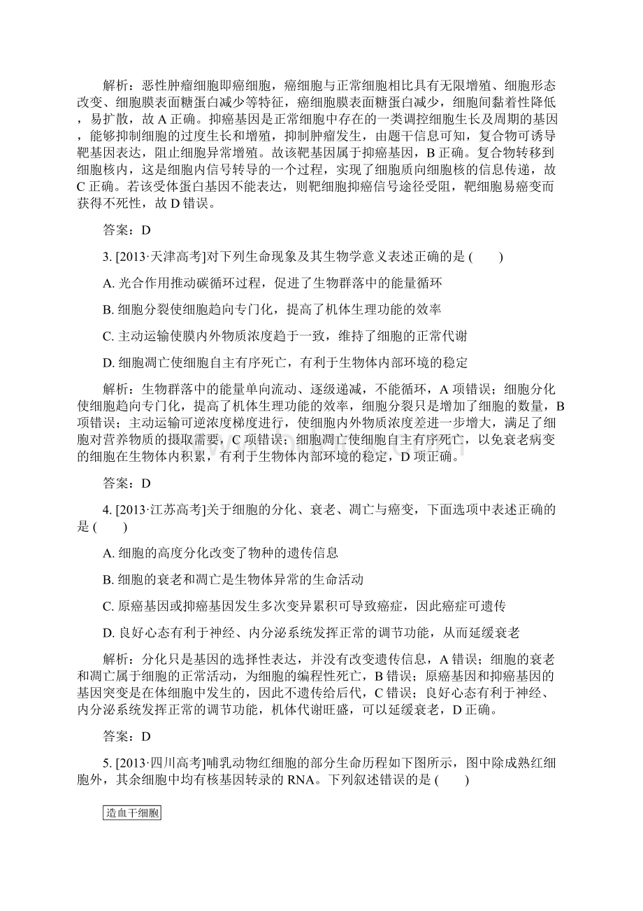 高三生物第一轮总复习 第一编 考点过关练 考点15 细胞的衰老凋亡癌变.docx_第2页