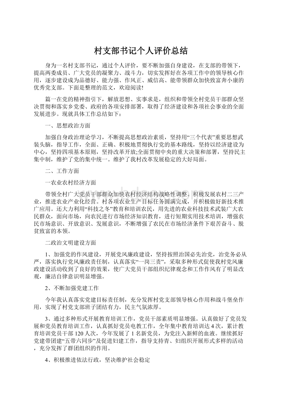 村支部书记个人评价总结Word格式文档下载.docx