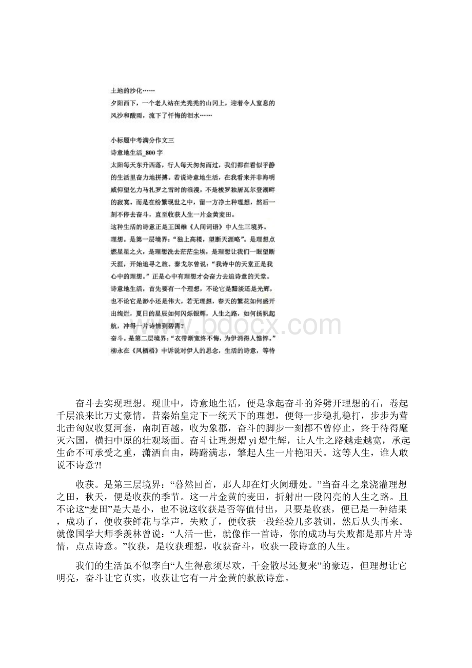 小标题中考满分作文十篇Word格式.docx_第3页