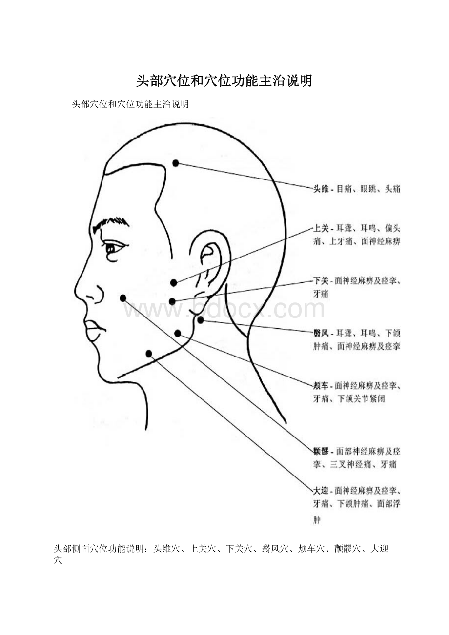 头部穴位和穴位功能主治说明.docx_第1页