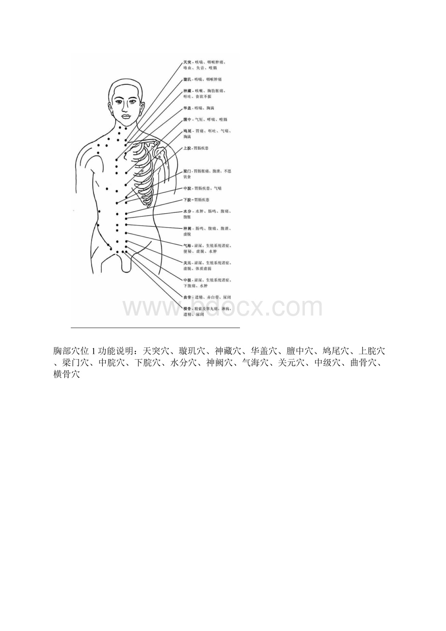 头部穴位和穴位功能主治说明文档格式.docx_第3页