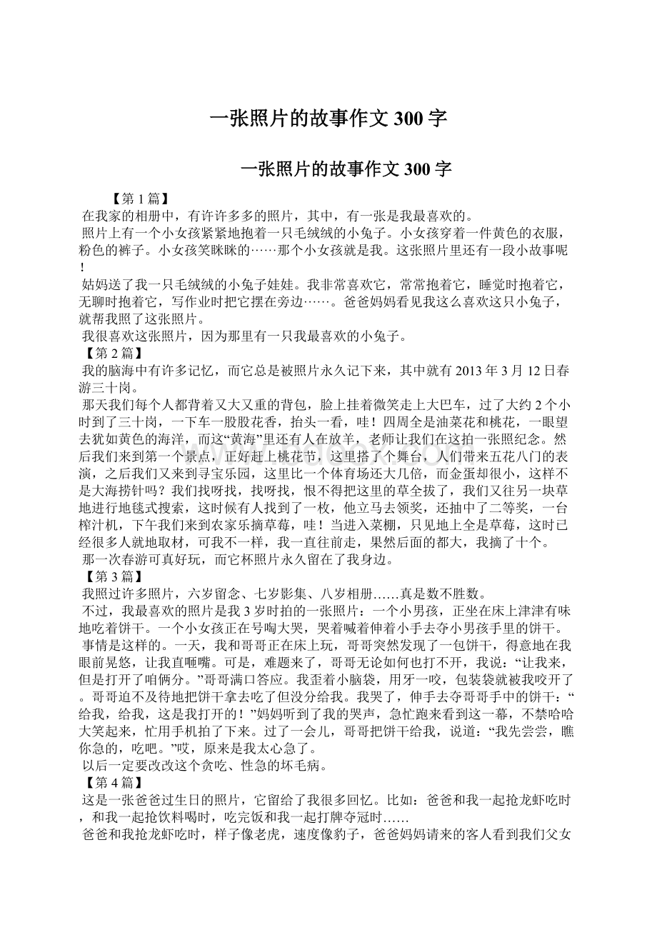 一张照片的故事作文300字.docx