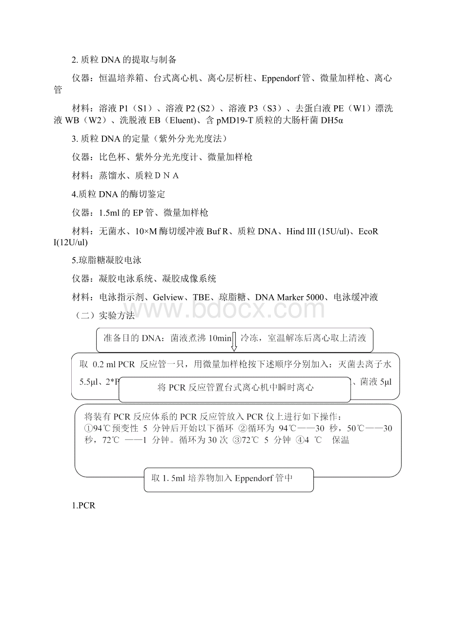 质粒DNA的提取定量酶切与PCR鉴定实验报告之欧阳法创编.docx_第3页