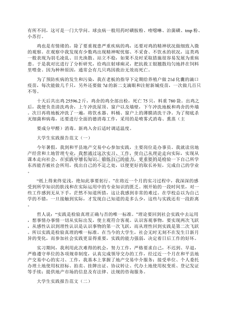 关于大学生畜牧场的实践报告范文文档格式.docx_第2页