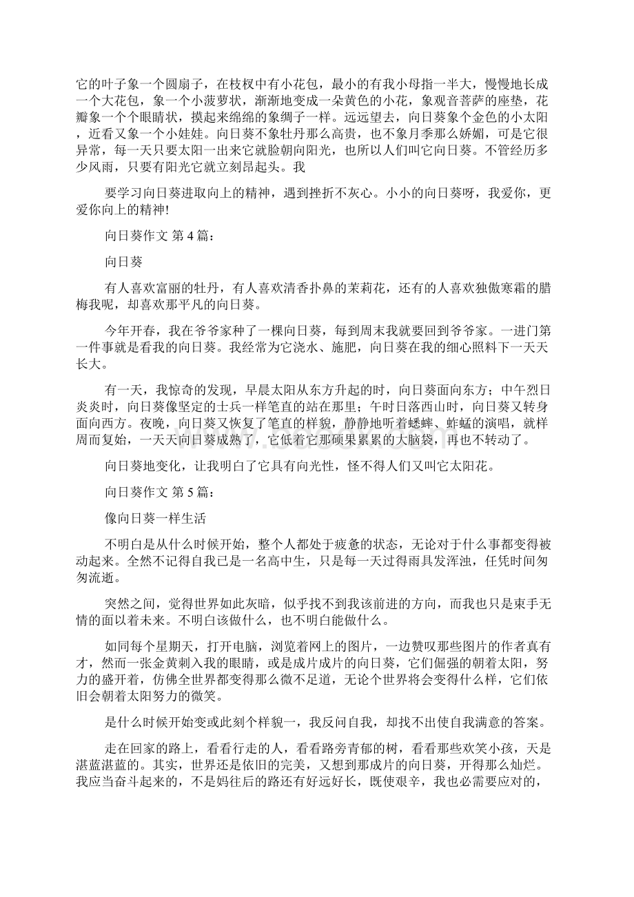 新整理向日葵作文25篇文档格式.docx_第2页