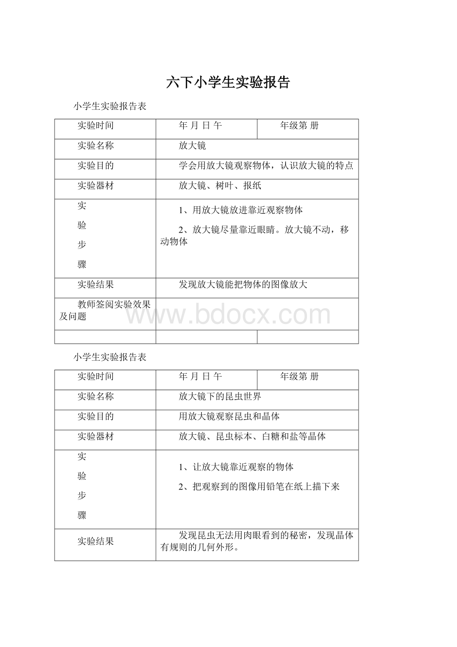 六下小学生实验报告.docx