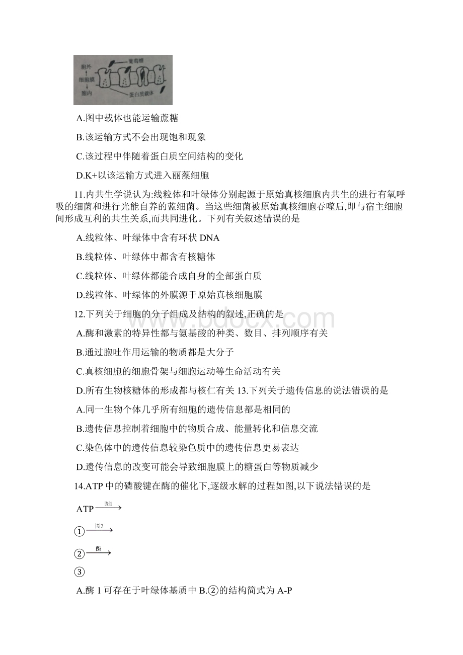 学年山东省滨州博兴三中高二下学期期末考试生物试题.docx_第3页