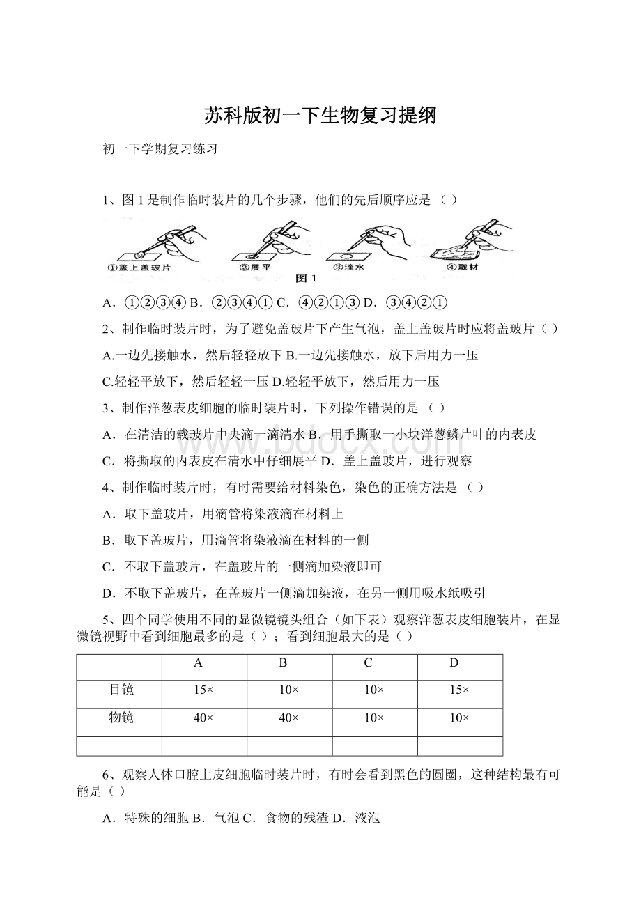 苏科版初一下生物复习提纲Word文件下载.docx_第1页