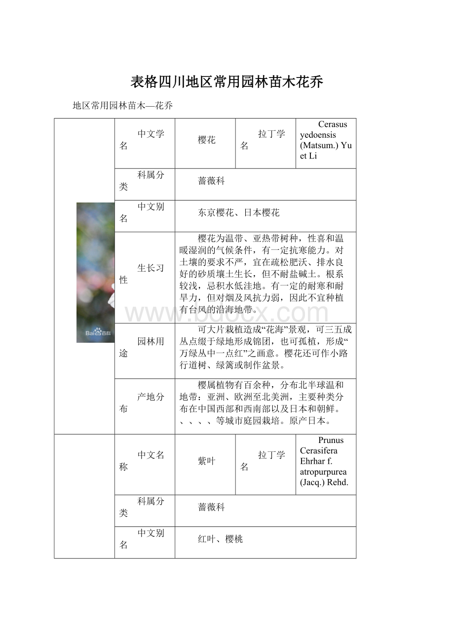 表格四川地区常用园林苗木花乔.docx