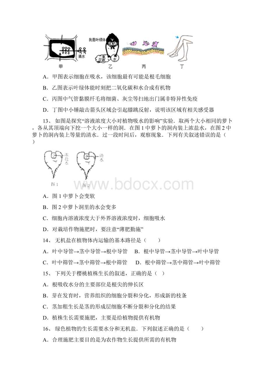 初中生物植物对水分的吸收和运输选择题专题训练.docx_第3页