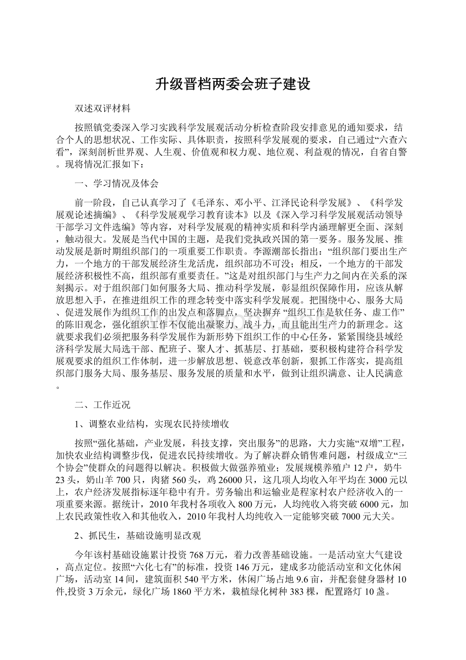 升级晋档两委会班子建设Word格式.docx