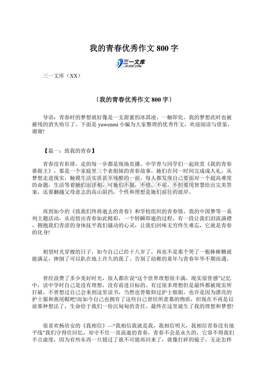 我的青春优秀作文800字Word格式文档下载.docx