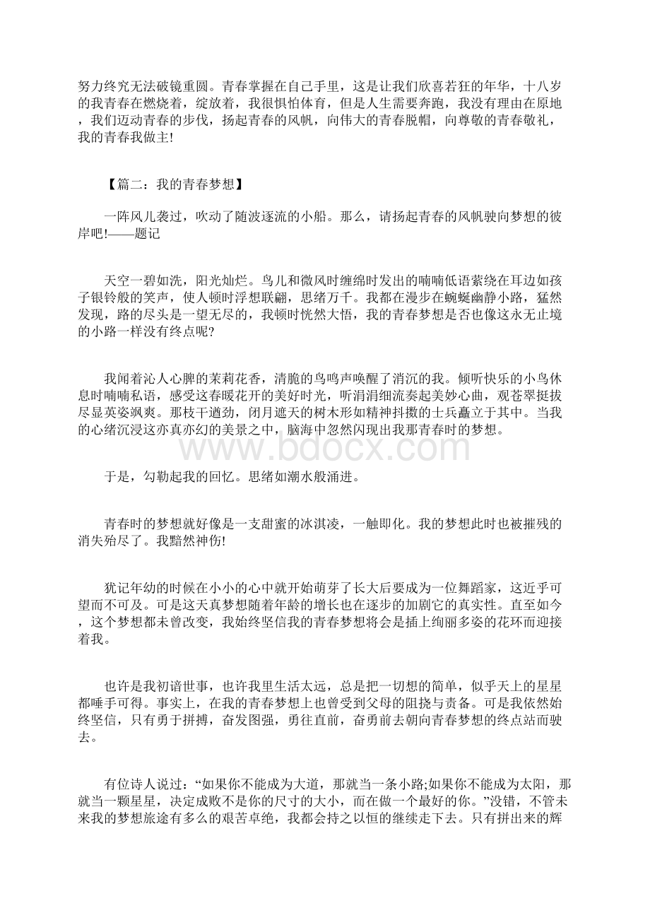 我的青春优秀作文800字.docx_第2页