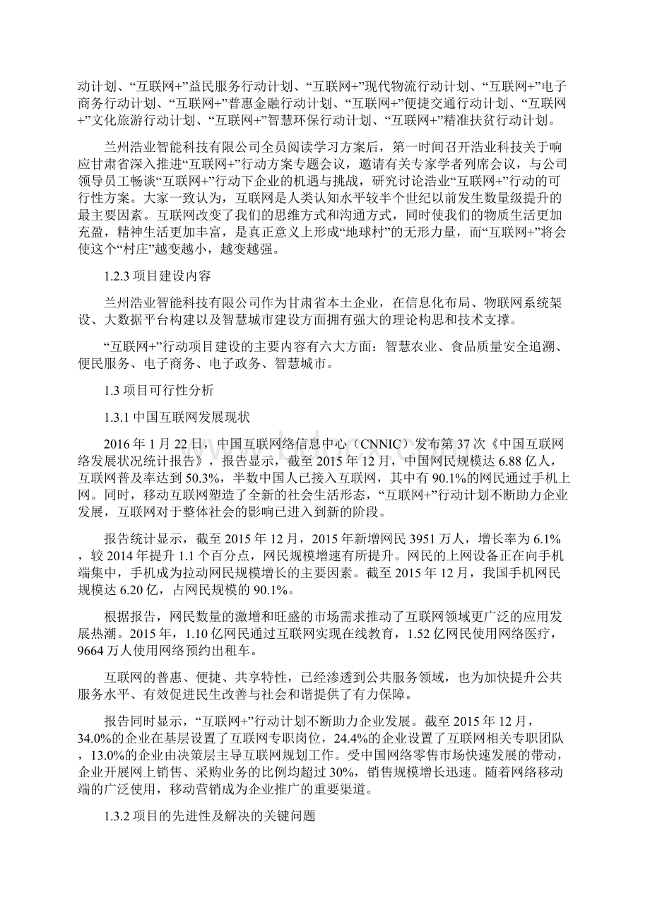 互联网 行动项目可行性报告Word下载.docx_第2页