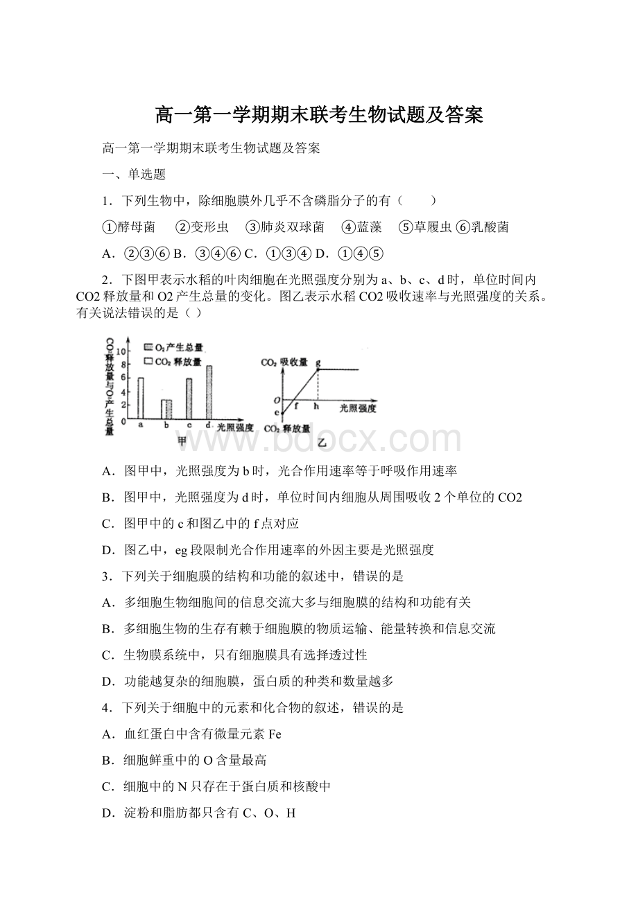 高一第一学期期末联考生物试题及答案.docx_第1页