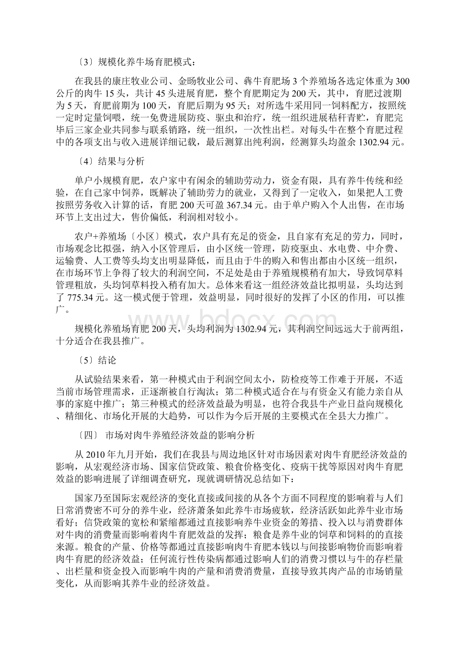 肉牛育肥成本效益分析报告.docx_第3页