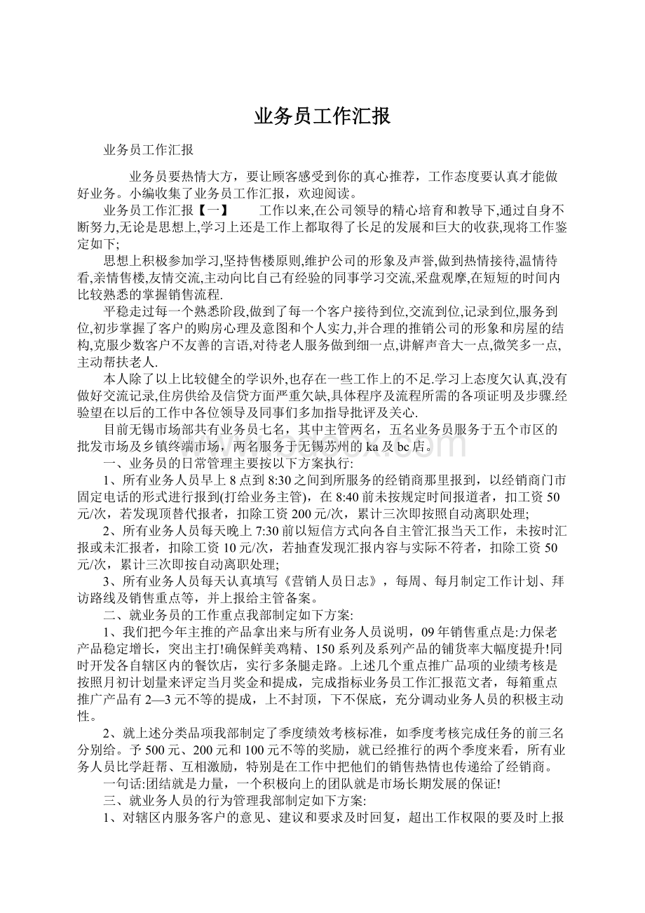 业务员工作汇报Word文件下载.docx