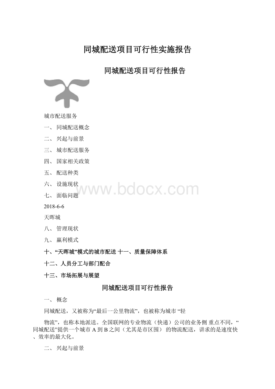 同城配送项目可行性实施报告文档格式.docx_第1页