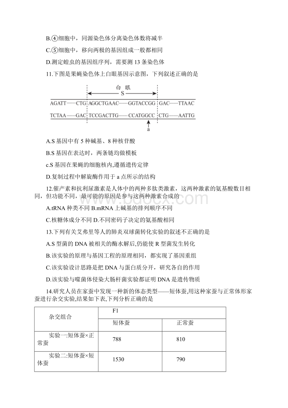 北京市大兴区届高三上学期期末考试生物试题Word版含答案Word格式.docx_第3页