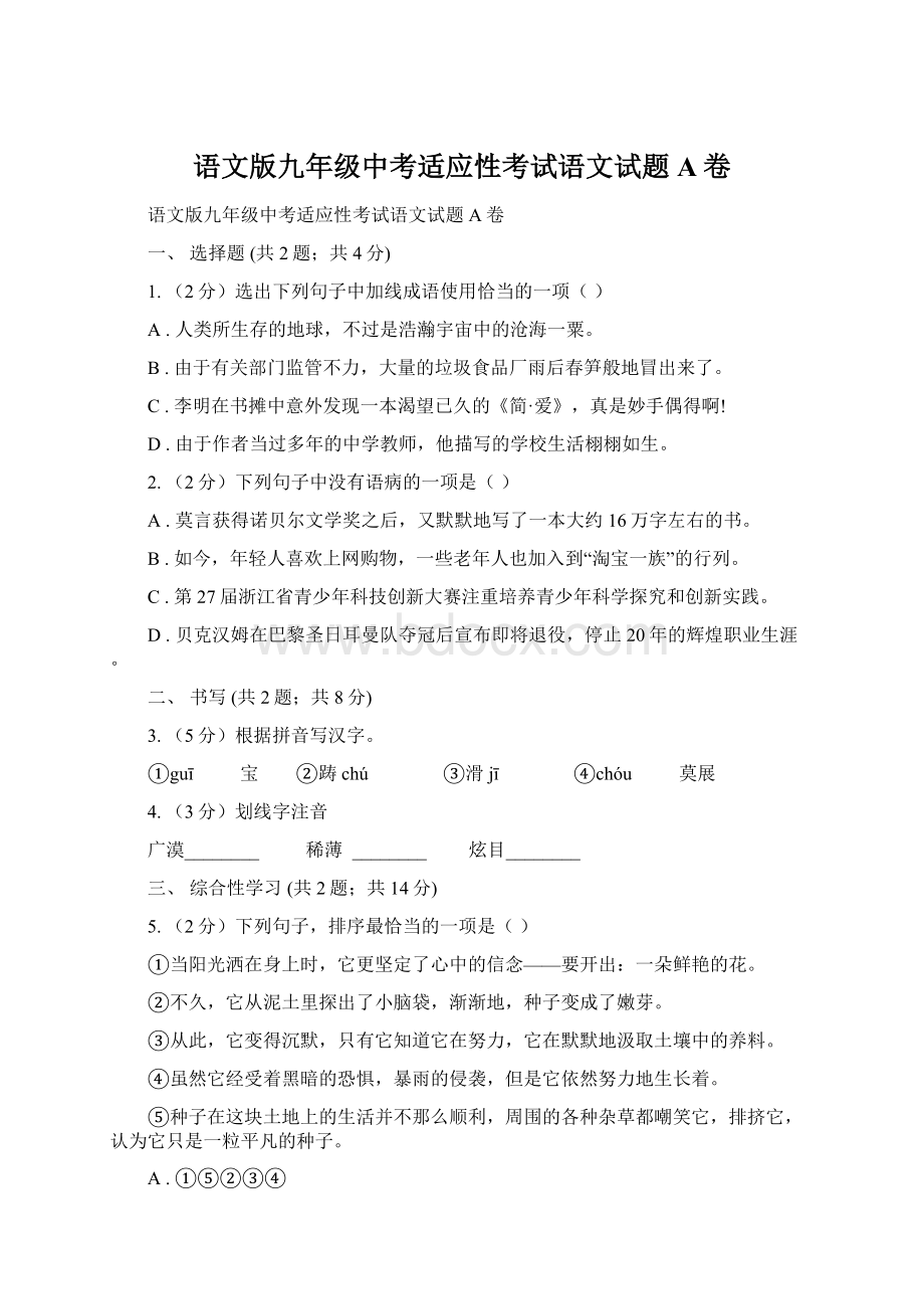 语文版九年级中考适应性考试语文试题A卷.docx_第1页