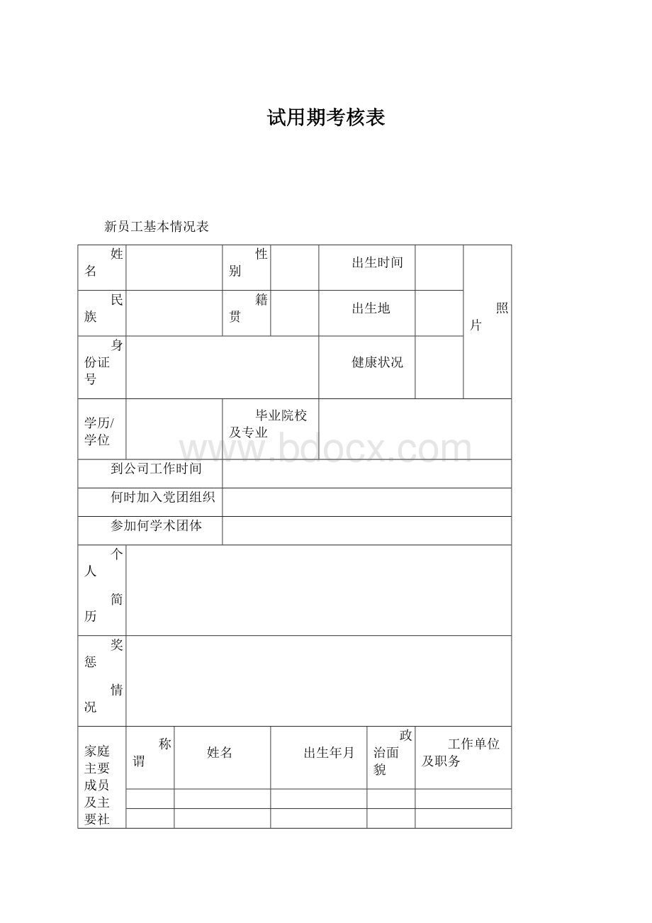 试用期考核表Word文件下载.docx