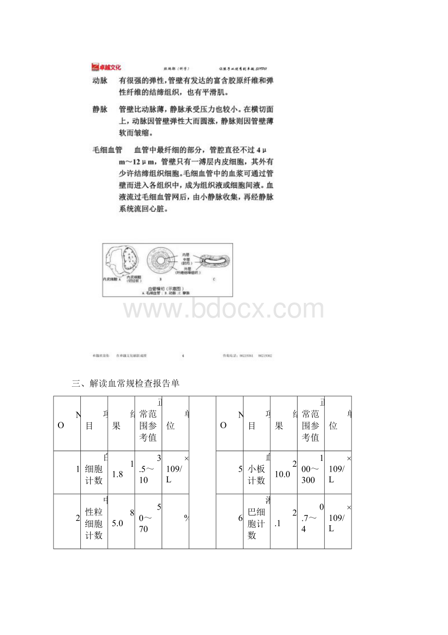 第三节血液循环途径一.docx_第3页