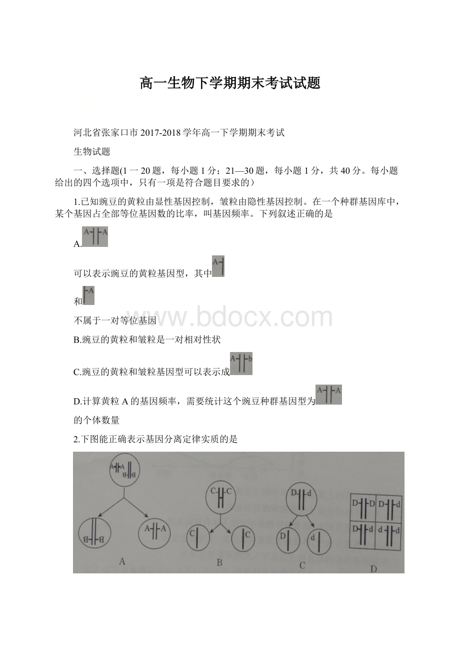 高一生物下学期期末考试试题.docx_第1页