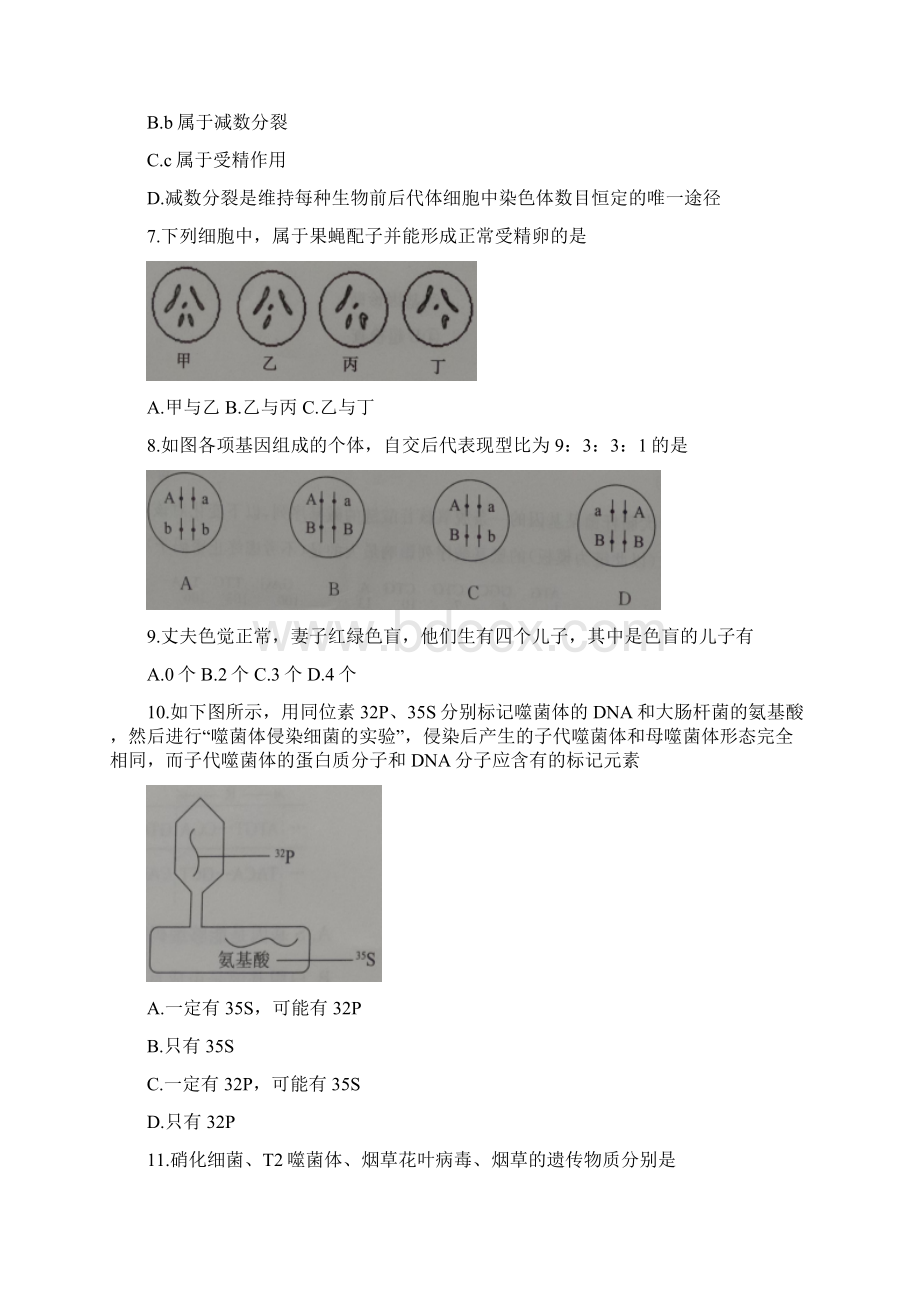 高一生物下学期期末考试试题.docx_第3页