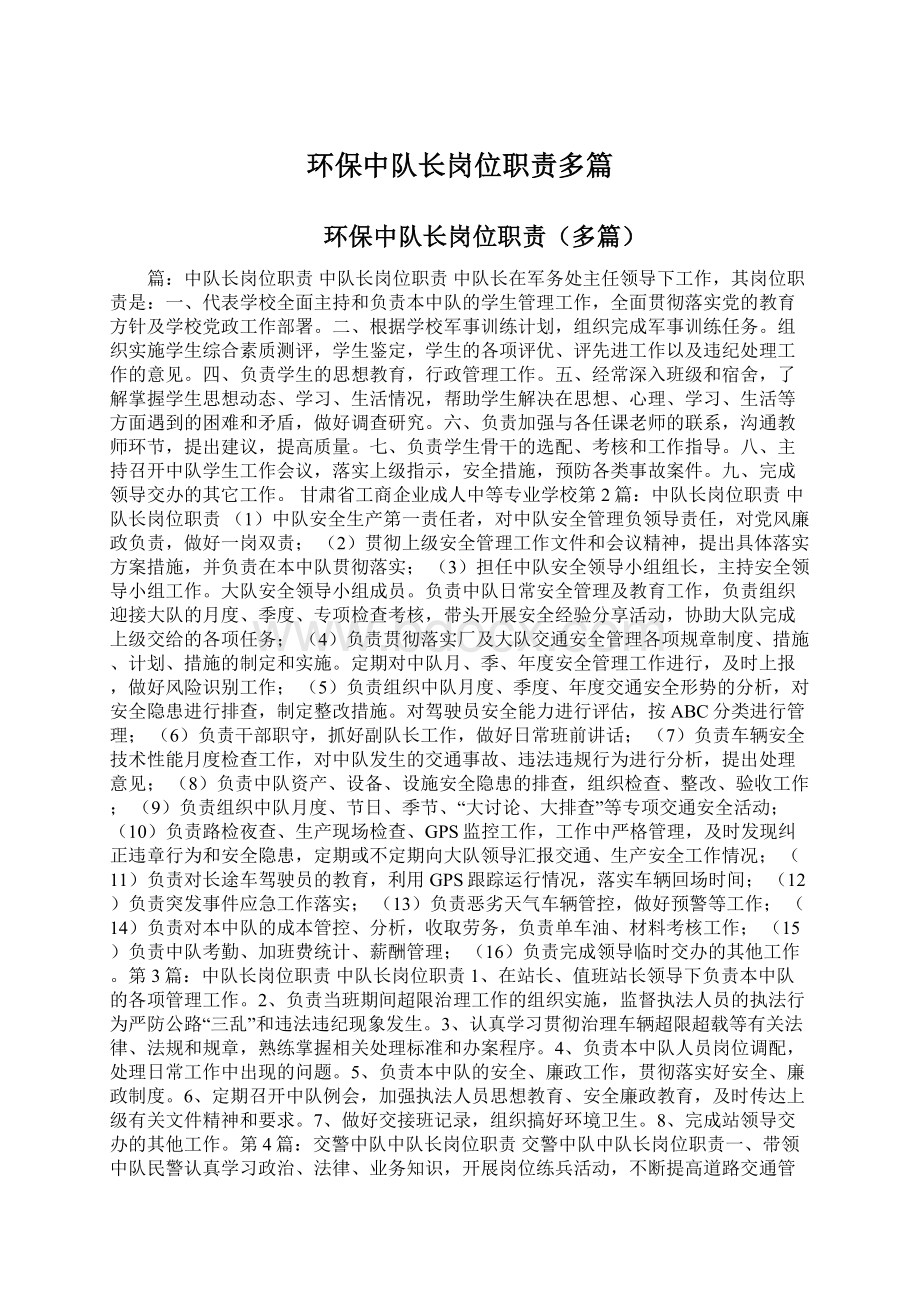 环保中队长岗位职责多篇文档格式.docx