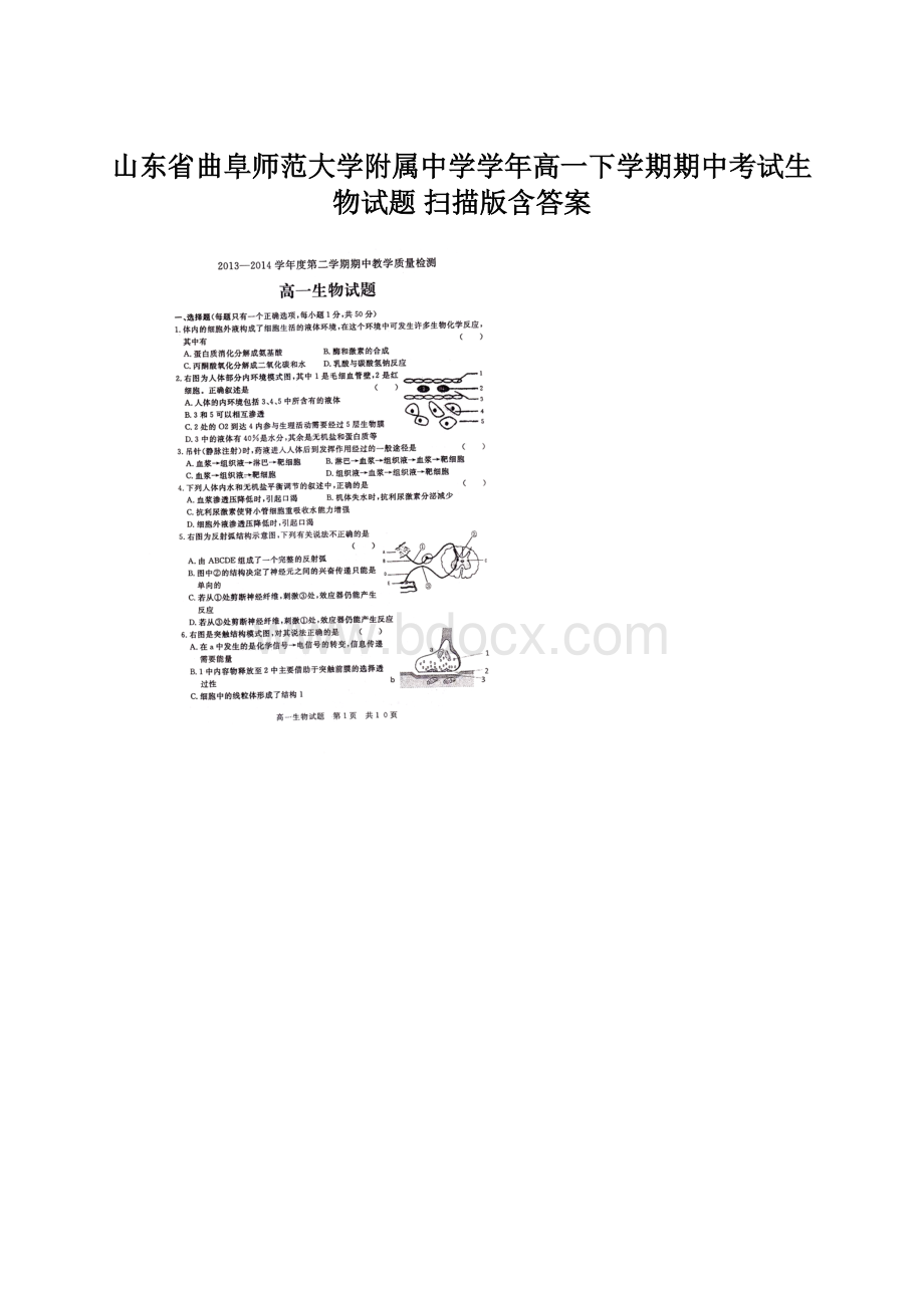 山东省曲阜师范大学附属中学学年高一下学期期中考试生物试题 扫描版含答案.docx