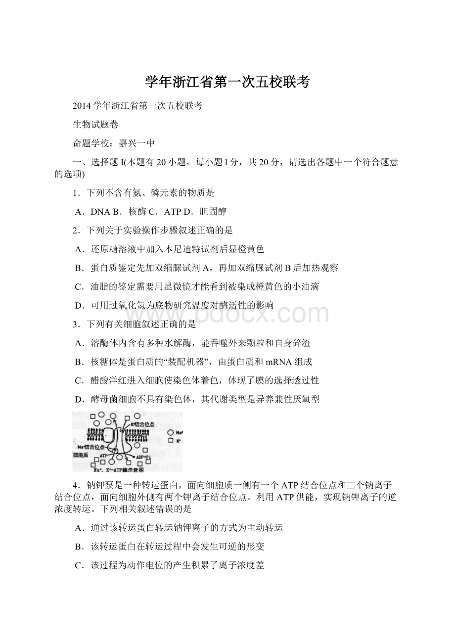 学年浙江省第一次五校联考Word格式文档下载.docx