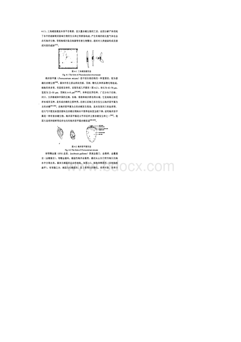 三种海洋微藻DMS和DMSP生产的研究.docx_第2页