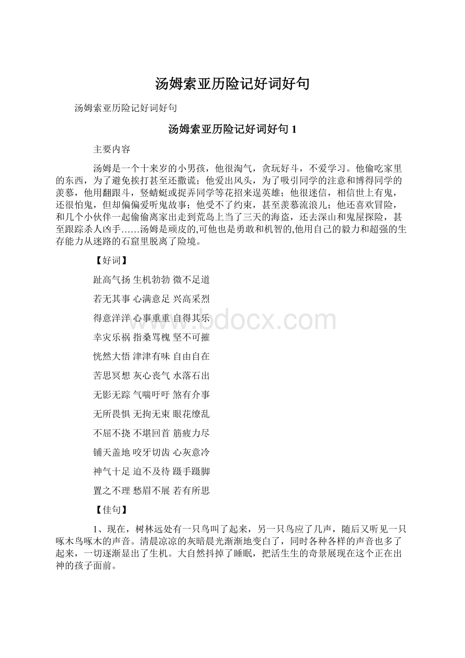 汤姆索亚历险记好词好句Word格式文档下载.docx_第1页