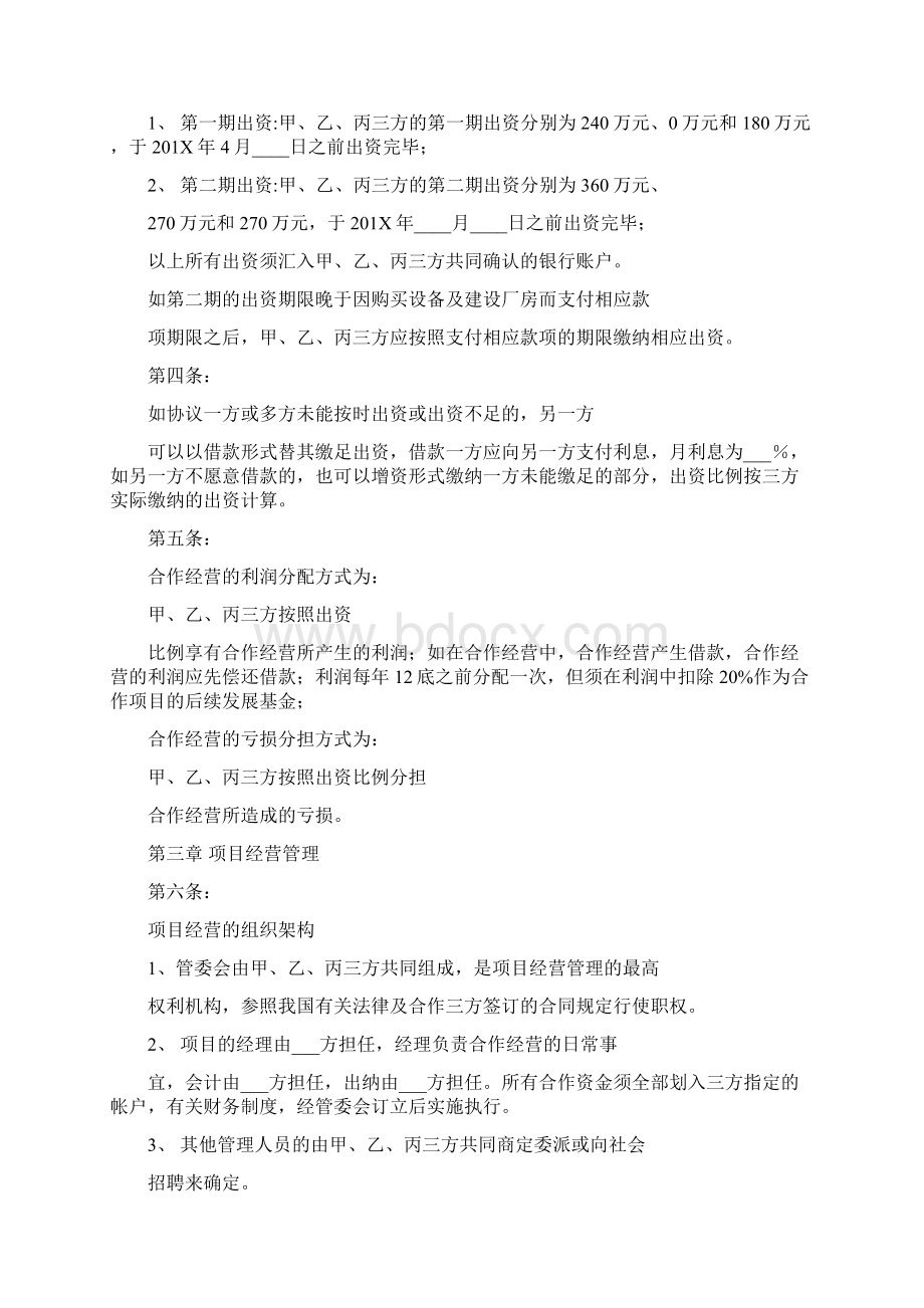 合作项目经营协议书完整版Word文档格式.docx_第2页