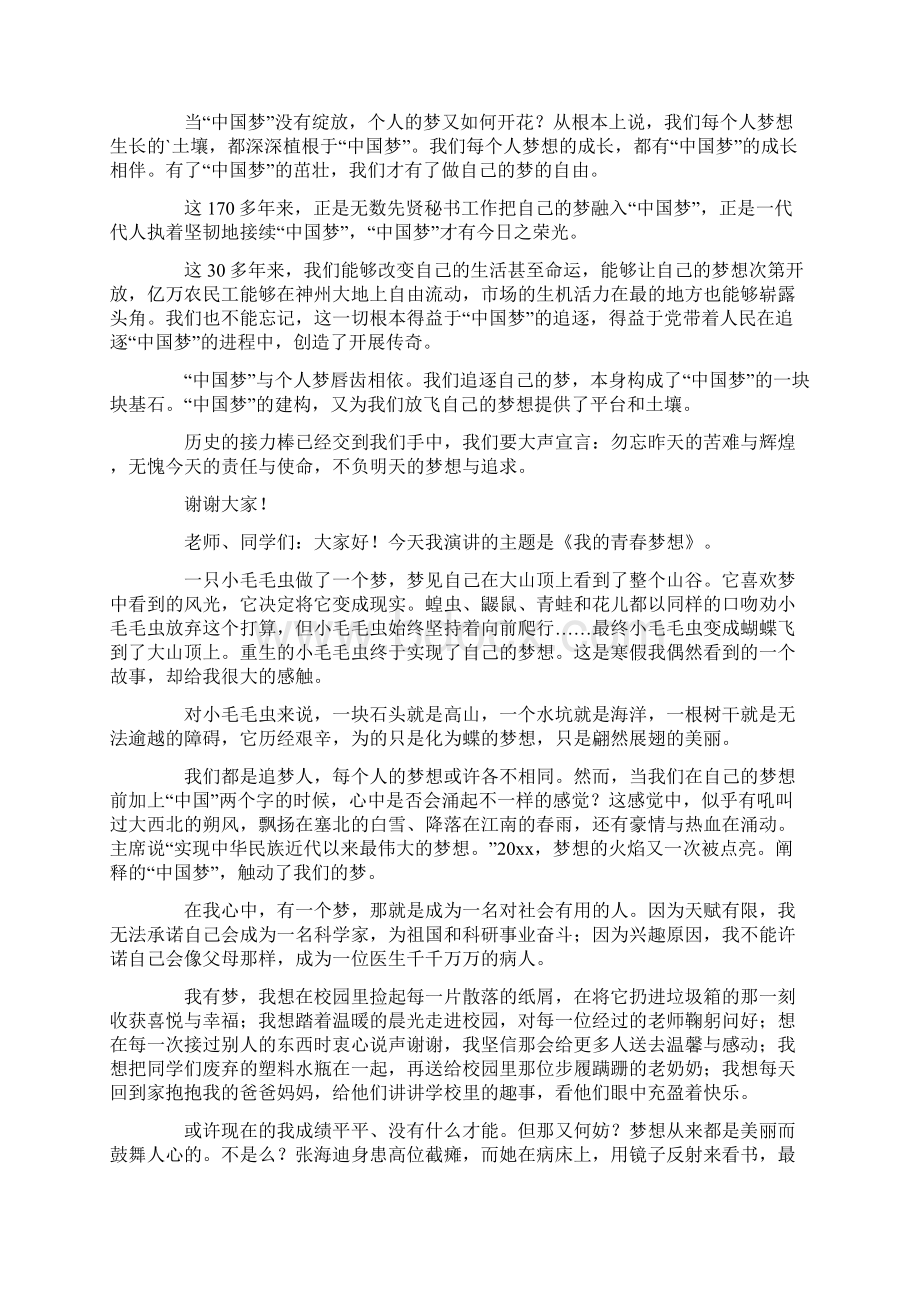 激扬青春放飞梦想发言稿7篇.docx_第3页