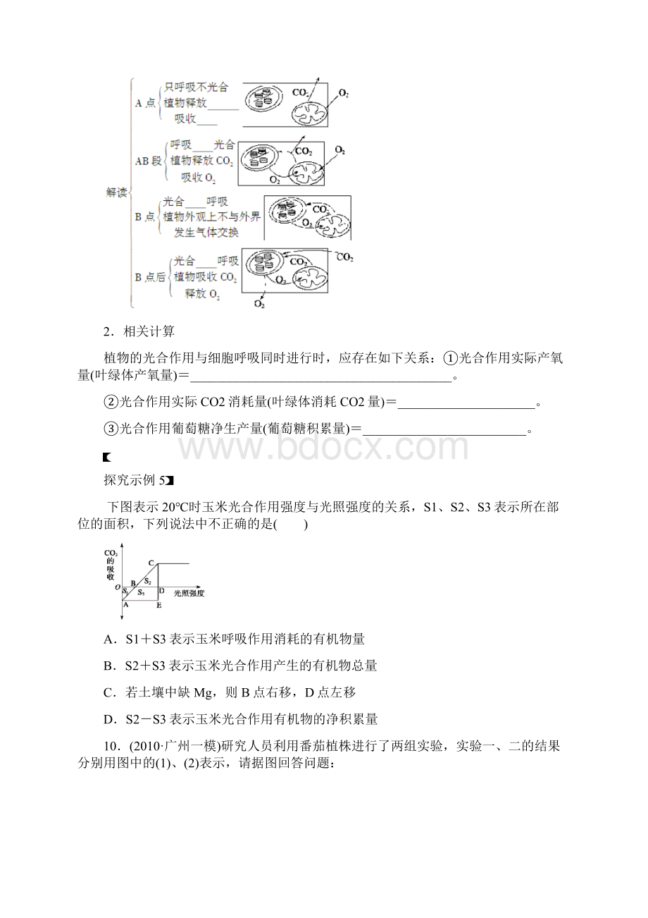 光合作用相关题目.docx_第3页