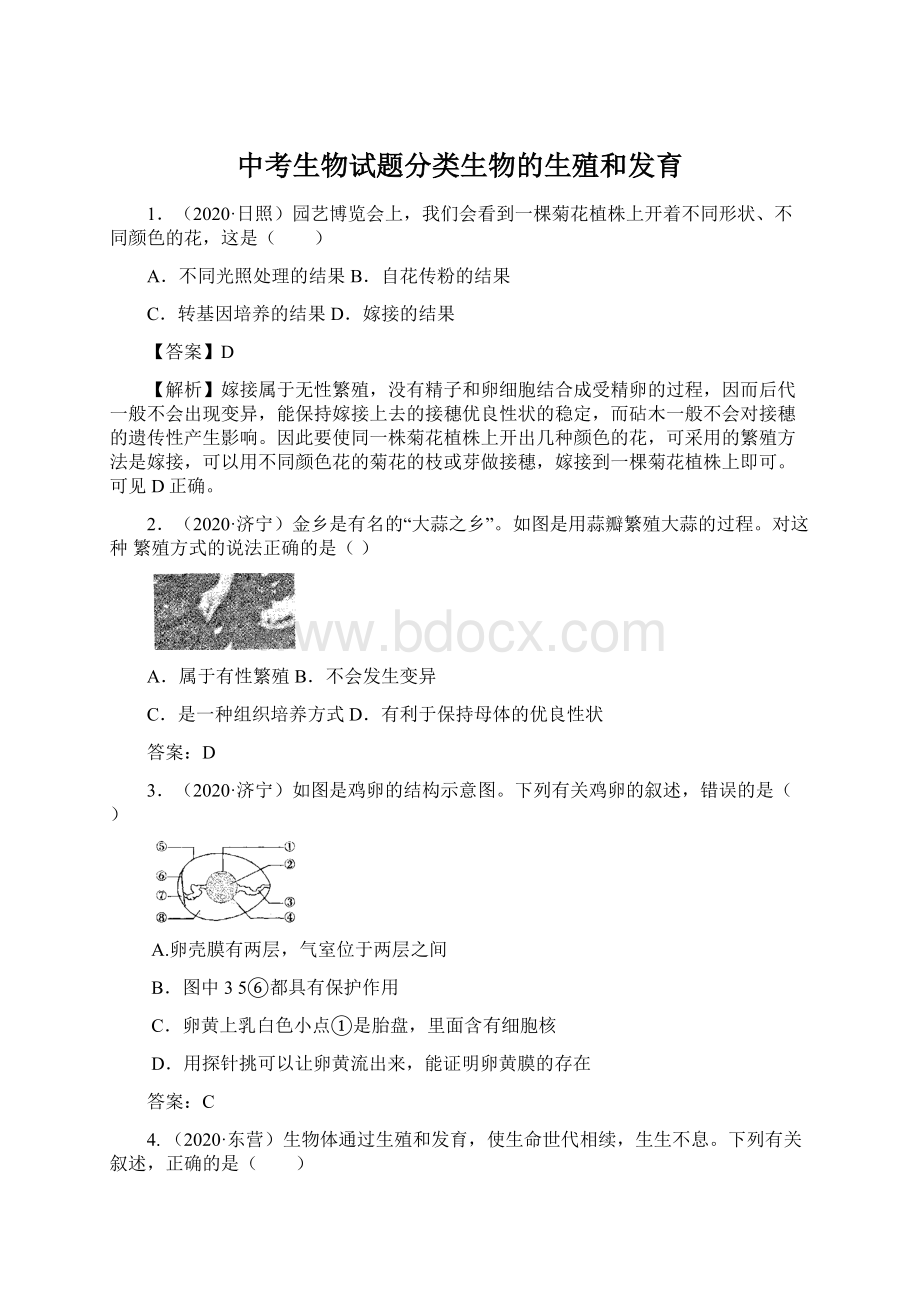 中考生物试题分类生物的生殖和发育Word文件下载.docx_第1页