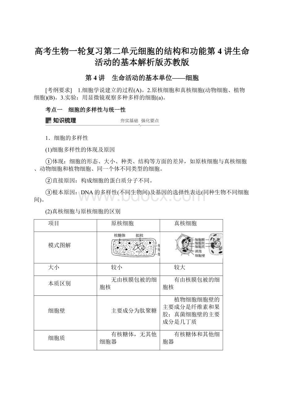 高考生物一轮复习第二单元细胞的结构和功能第4讲生命活动的基本解析版苏教版Word下载.docx_第1页