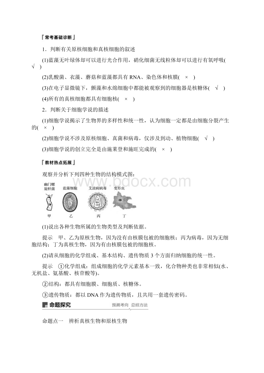 高考生物一轮复习第二单元细胞的结构和功能第4讲生命活动的基本解析版苏教版.docx_第3页