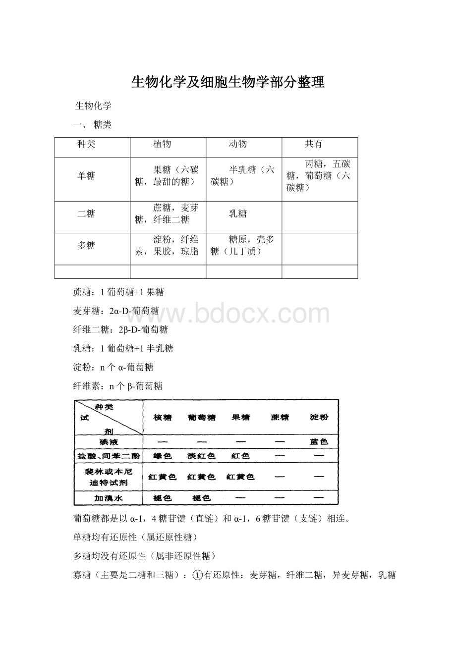 生物化学及细胞生物学部分整理.docx