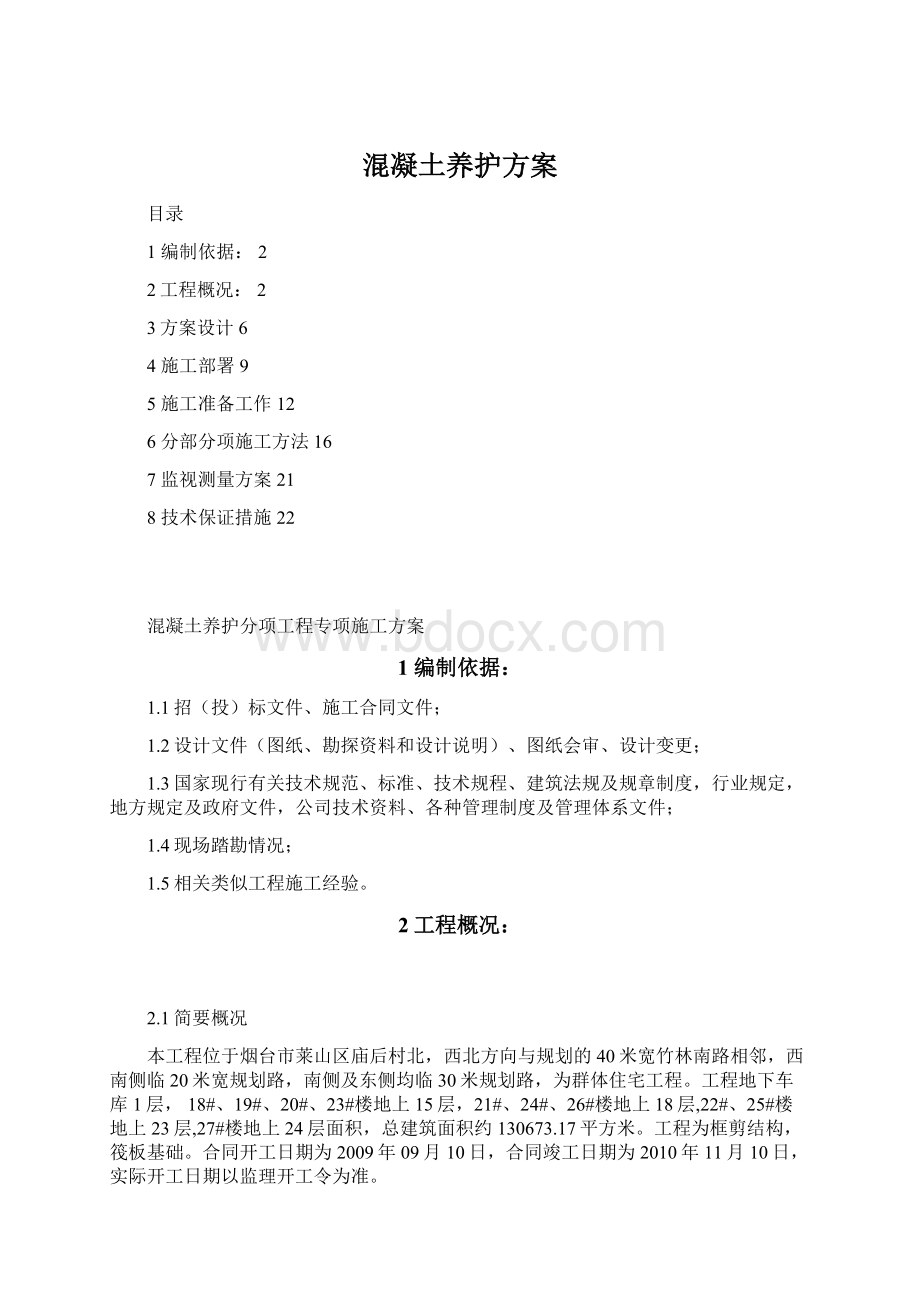 混凝土养护方案Word格式.docx