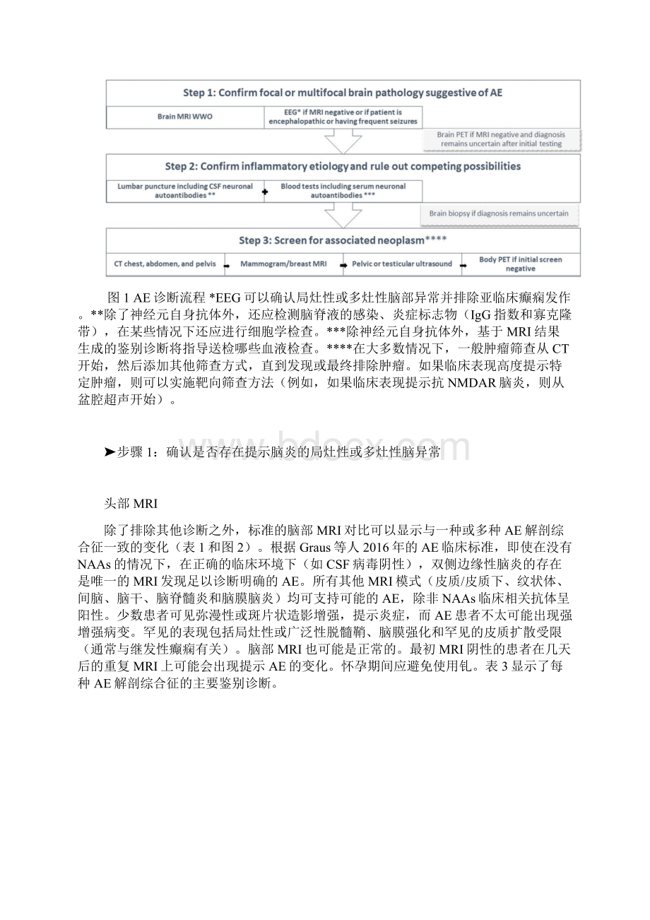 自身免疫性脑炎的诊断总结全文.docx_第3页