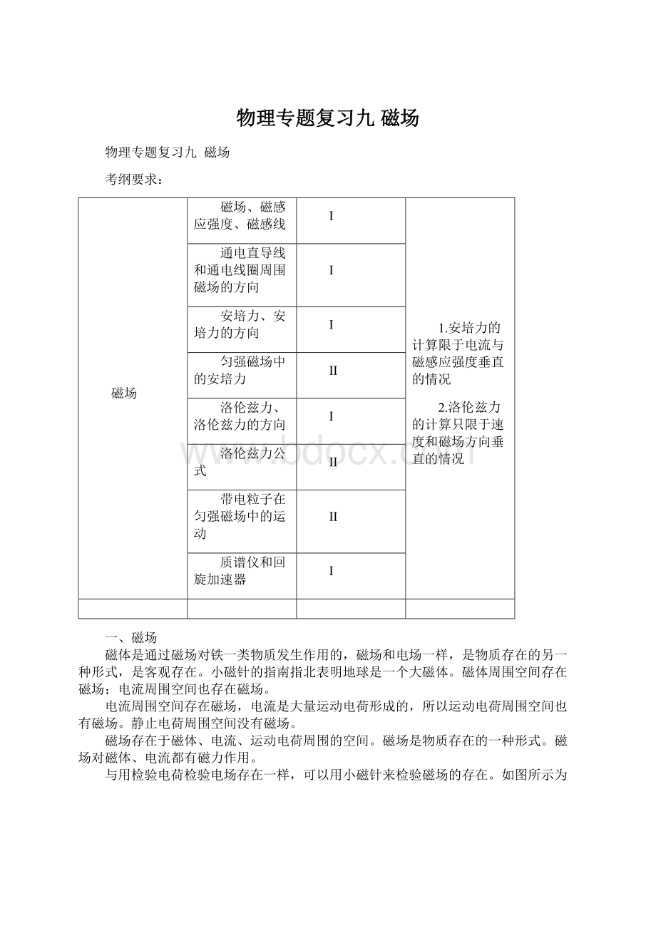 物理专题复习九 磁场Word格式文档下载.docx_第1页