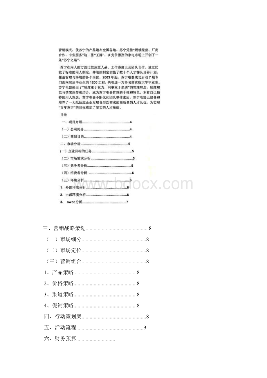 家电销售策划方案Word文档格式.docx_第3页