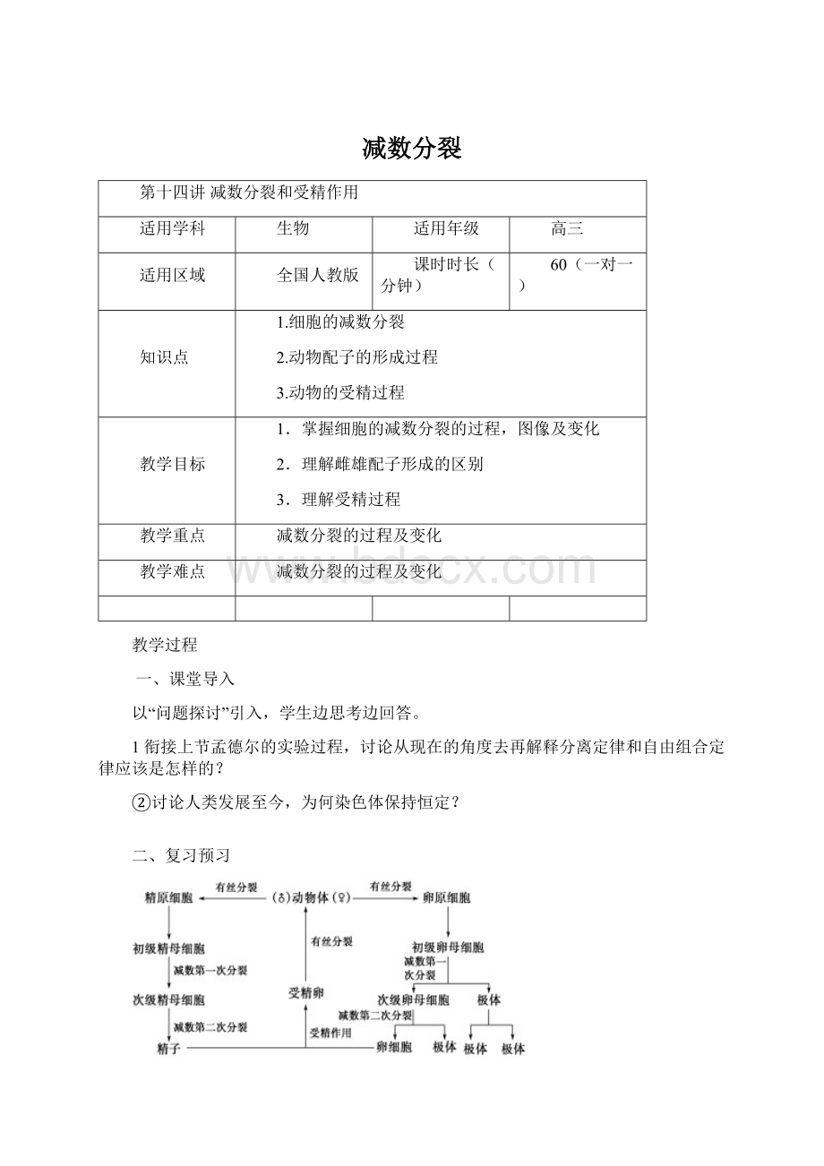 减数分裂Word文档下载推荐.docx