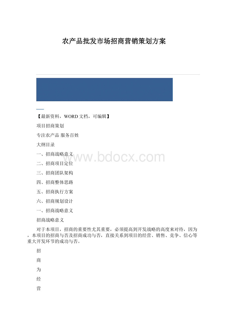 农产品批发市场招商营销策划方案文档格式.docx