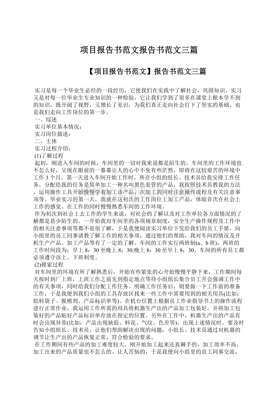 项目报告书范文报告书范文三篇.docx